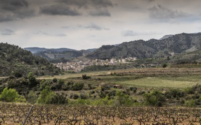 COM ES FA EL VI ECOLÒGIC AL PRIORAT?